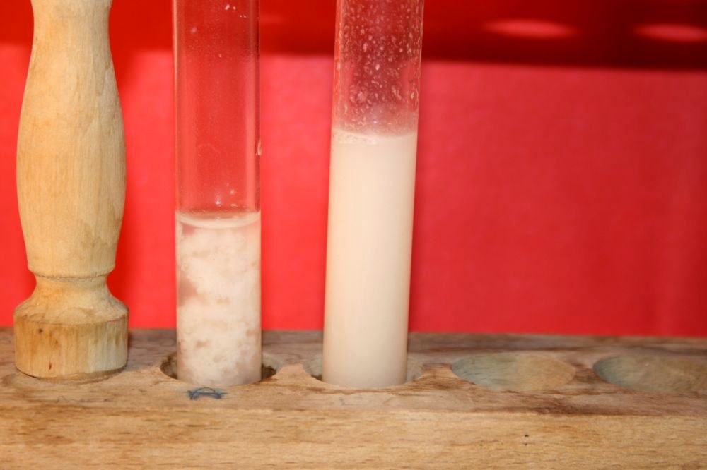 gal/LES_CINQUIEMES/ACTIVITE DIGESTION IN VITRO/Groupe_02/Groupe02_T_02h00min/Groupe02_temps02H00min_20.jpg